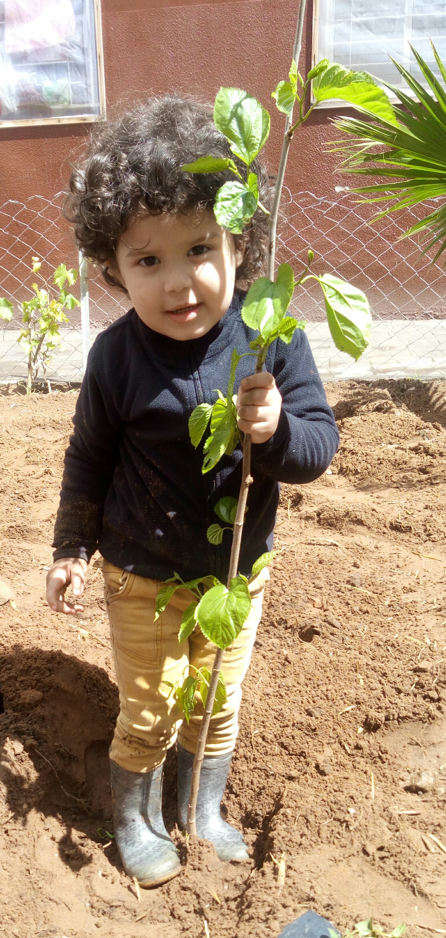 Fostering Values in Childcare