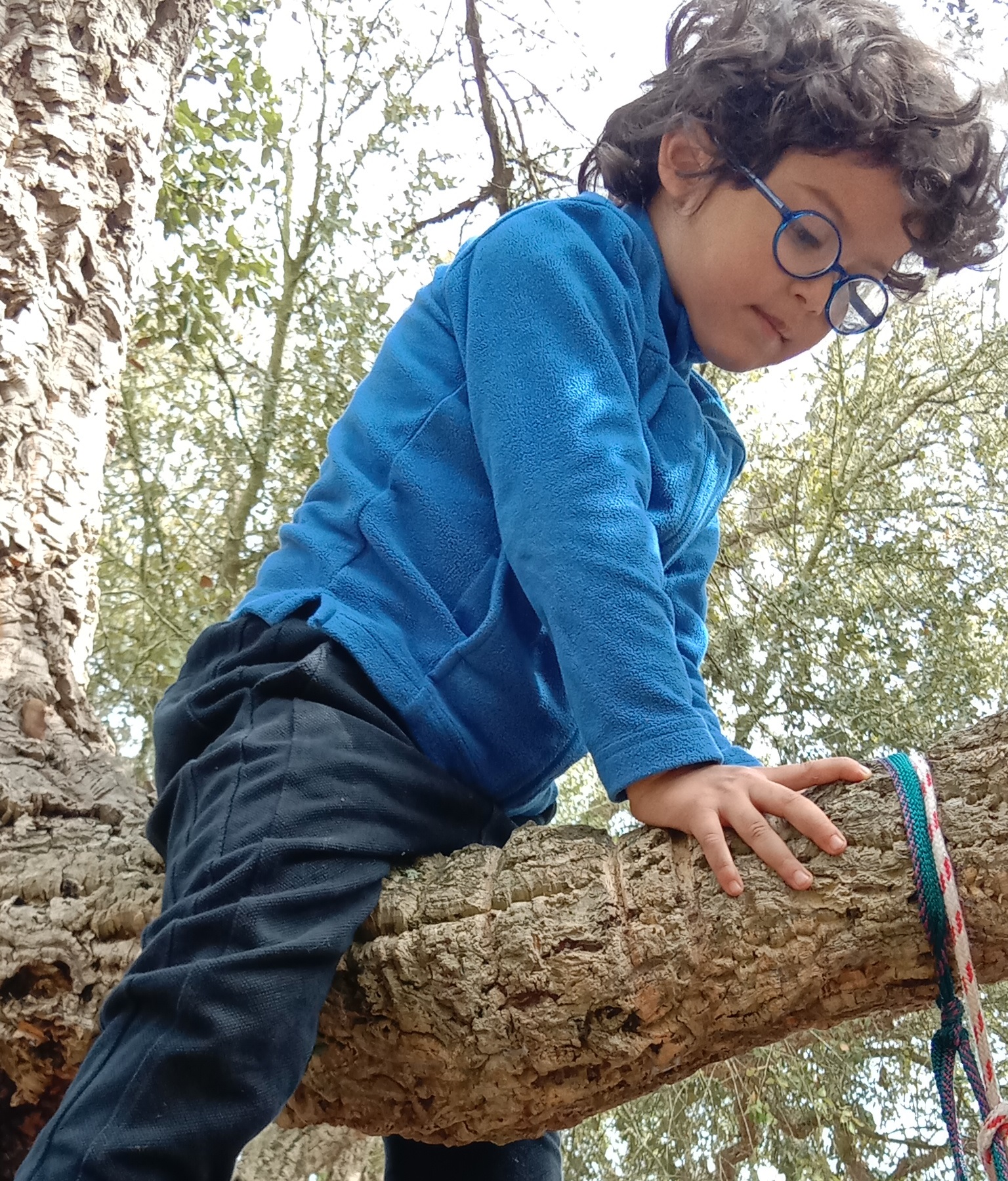 Maamoura Forest