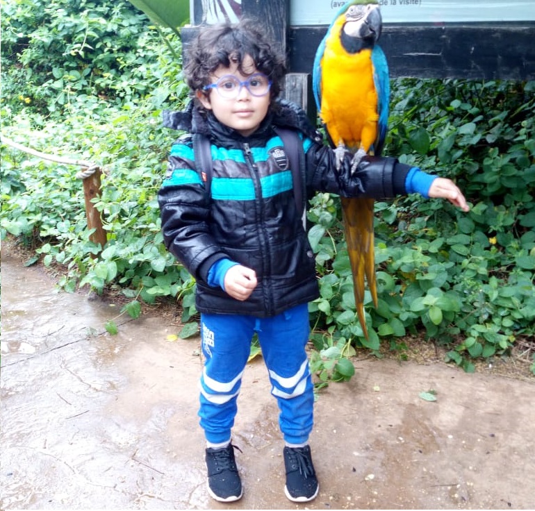 A Day at Rabat's Zoo